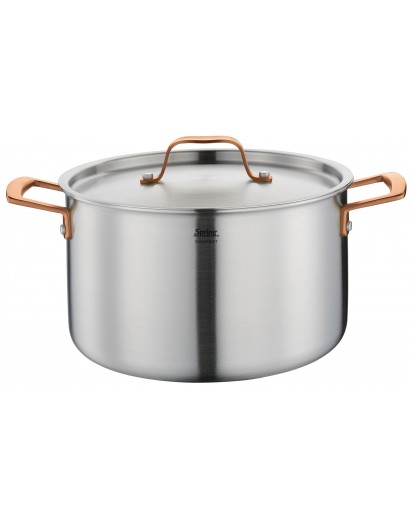 Spring: Gourmet Roségold Kochtopf, Ø24cm
