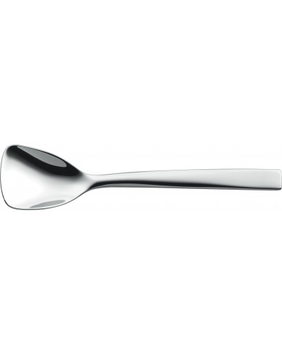 Zwilling: METEO Sugar Spoon