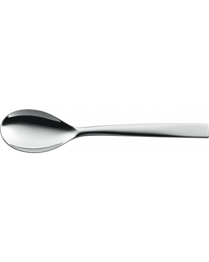 Zwilling: METEO Serving Spoon