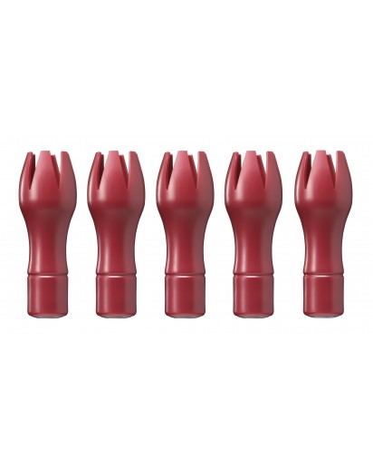 seleXions®: Tulip Tip Red